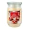 17oz. Christmas Scented Jar Candle by Ashland®